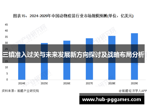 三镇准入过关与未来发展新方向探讨及战略布局分析