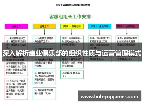 深入解析建业俱乐部的组织性质与运营管理模式