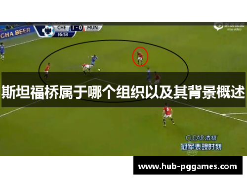 斯坦福桥属于哪个组织以及其背景概述